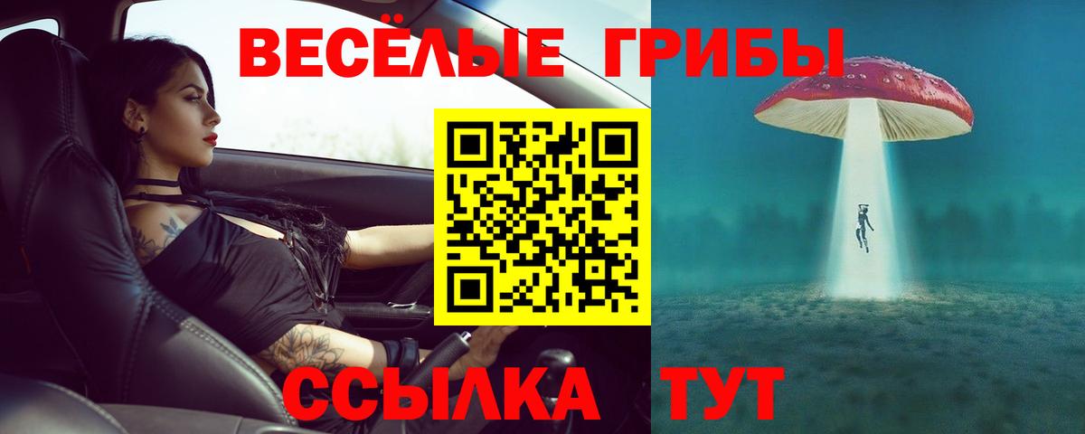 Псилоцибиновые грибы Magic Shrooms  Вход с VPN  Котовск  Галлюциногенные грибы Cubensis 